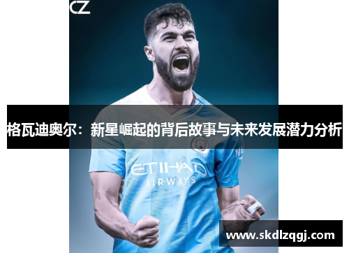 格瓦迪奥尔：新星崛起的背后故事与未来发展潜力分析